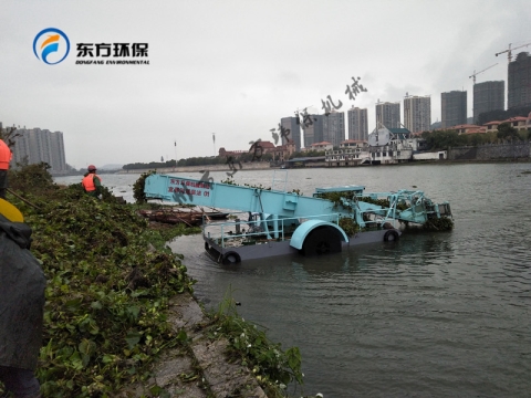  南京市秦淮河管理处购买的DFSHL─85 型水葫芦清理船【工作视频】